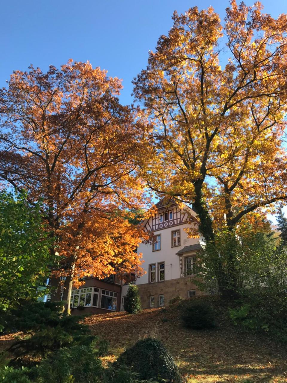 Waldhotel Bad Muenstereifel Buitenkant foto